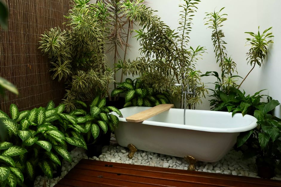Tropische planten decoreren zonnige badkamerhoek. Tropische planten decoreren zonnige badkamerhoek.