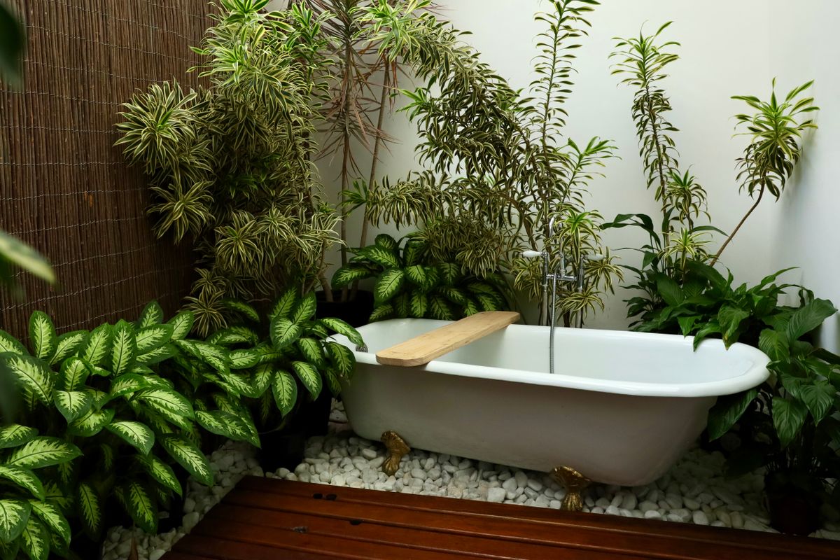 Spa Costa 5