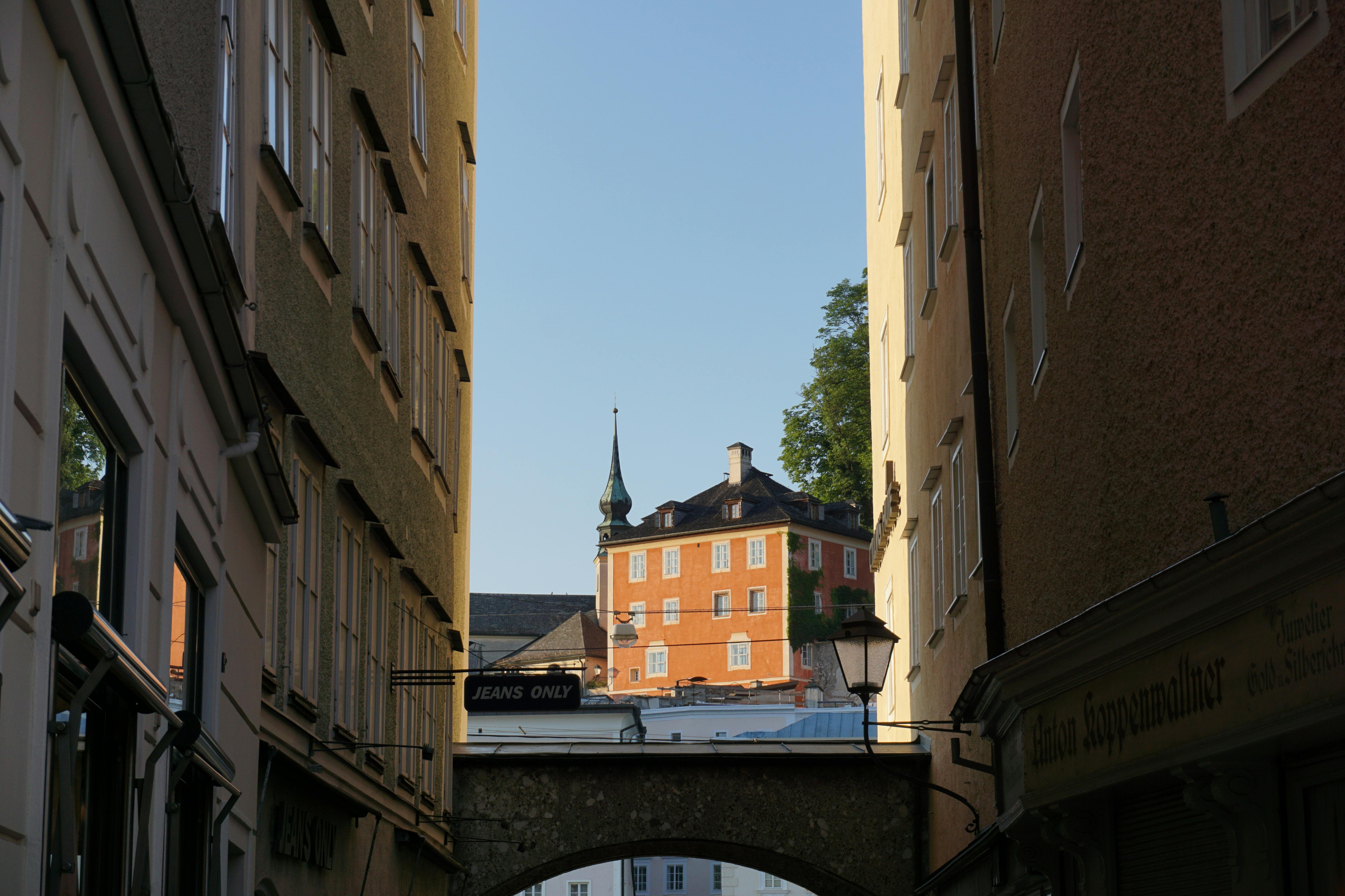 Hidden Benefits of Urban Tree Planting