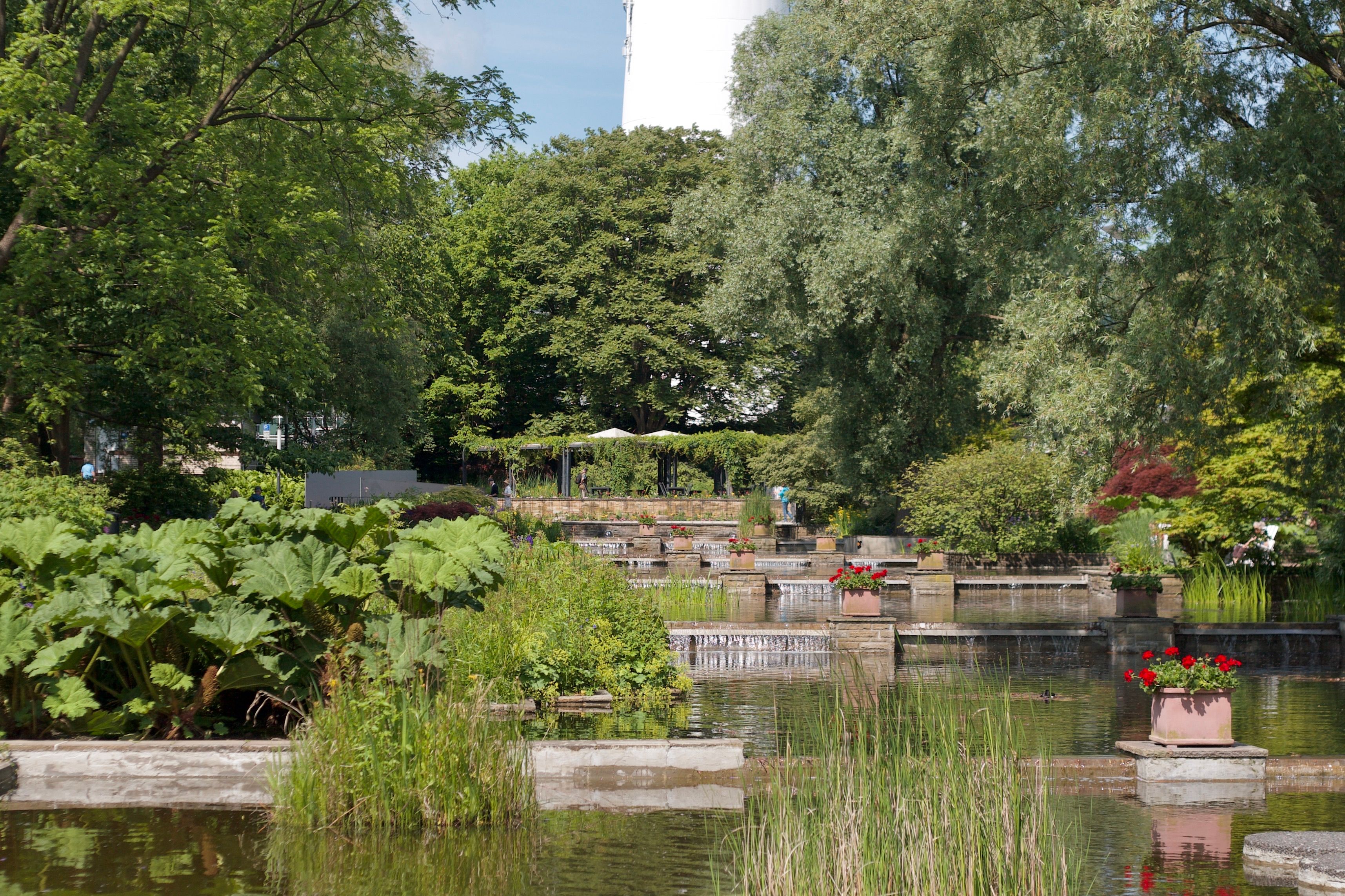 Botanische Tuin Afrikaanderwijk