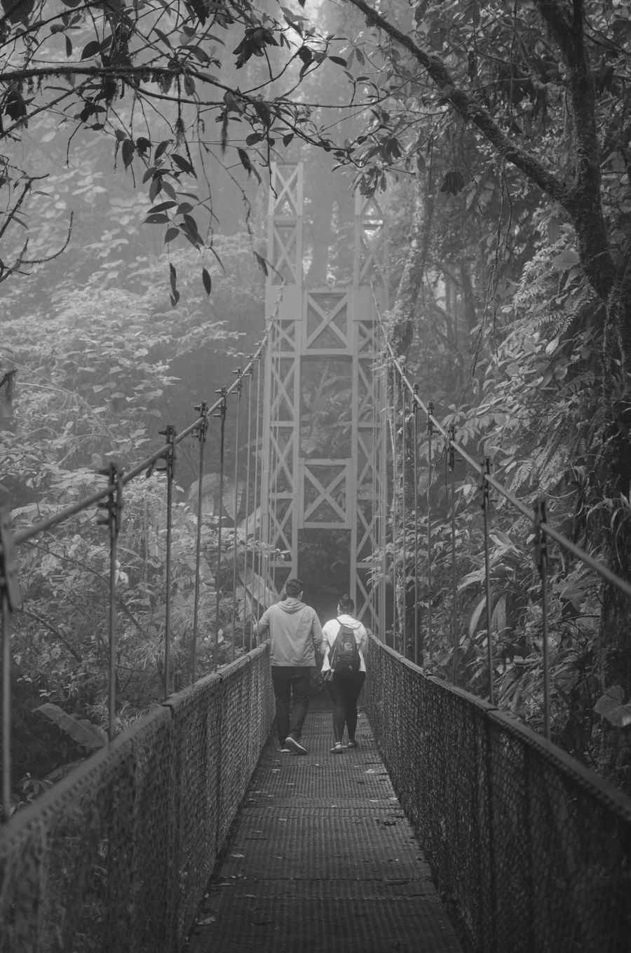 Mistico Hanging Bridges pont suspendu canopée Costa Rica