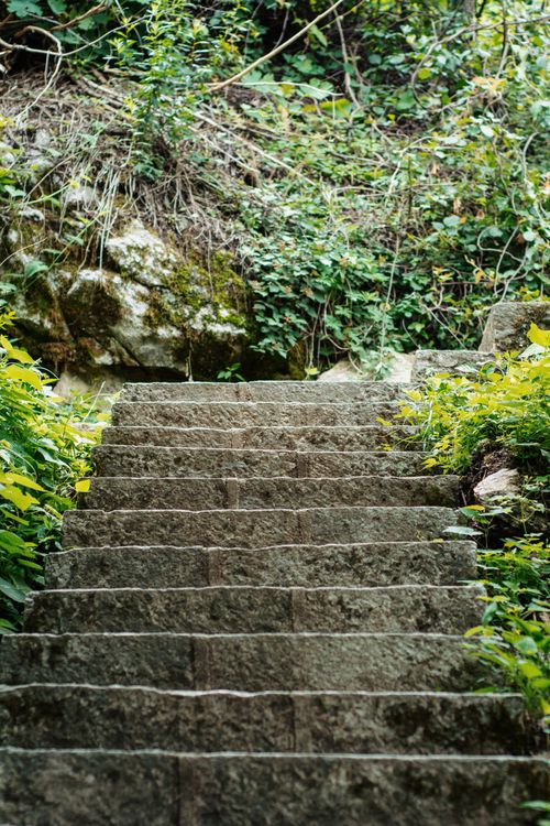 Free Stone steps leading through a dense green forest, creating a serene natural path. Stock Photo