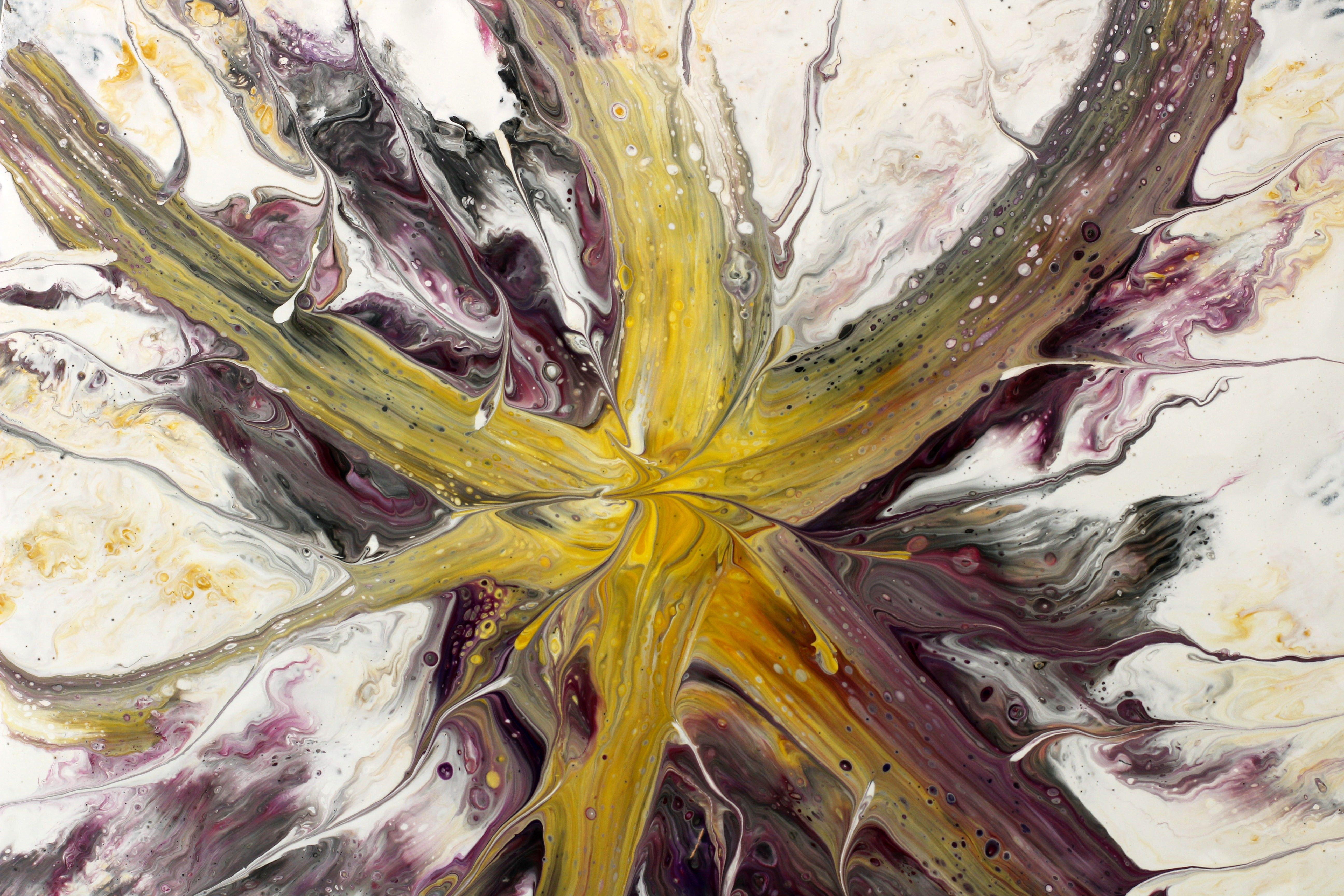 Colorful Fluid Art Abstract Painting · Free Stock Photo