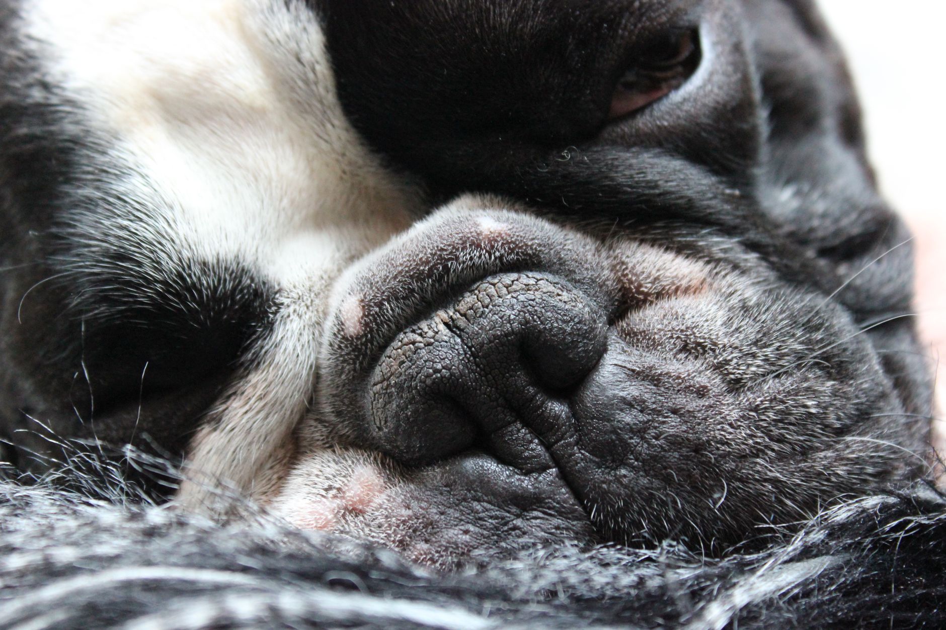 Dermatological Challenges: Wrinkles, Yeast, and Allergies