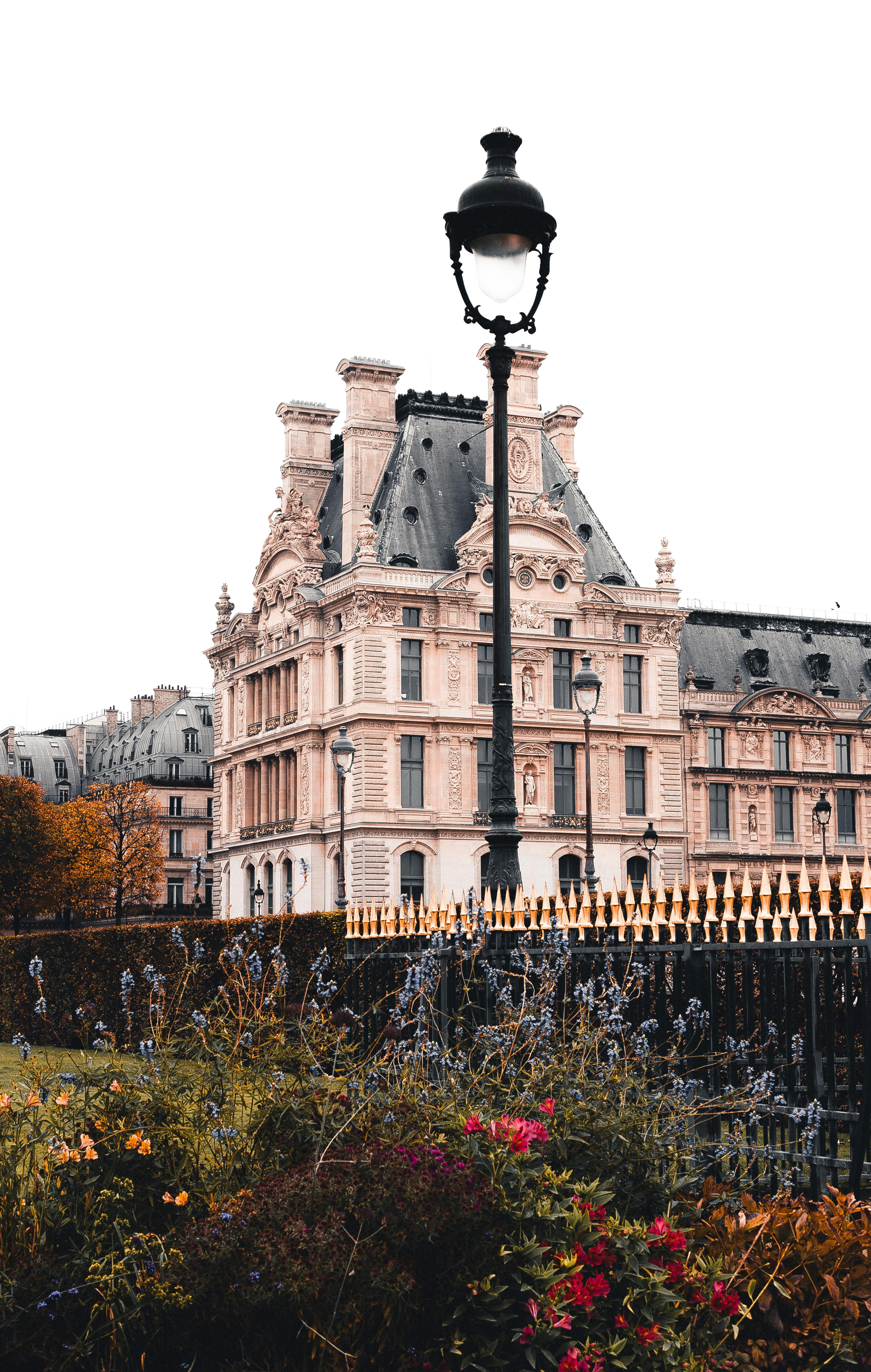Elegant Parisian architecture surrounded by autumn foliage and classic street lamp.