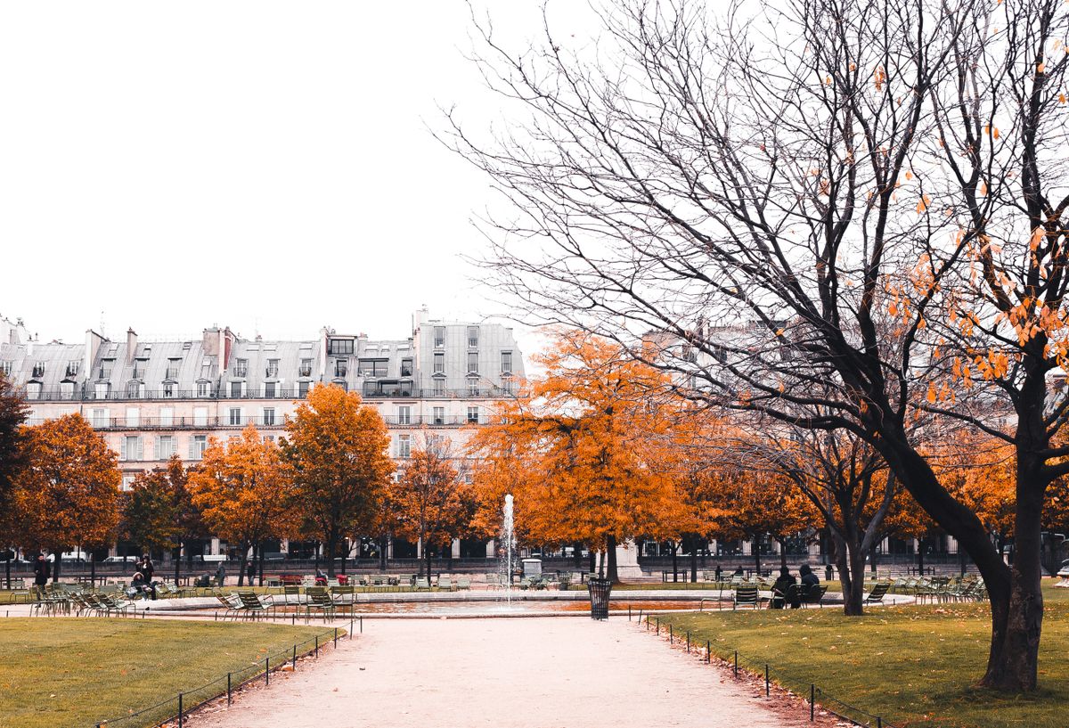 Alee de nisip printr-un parc parizian toamna