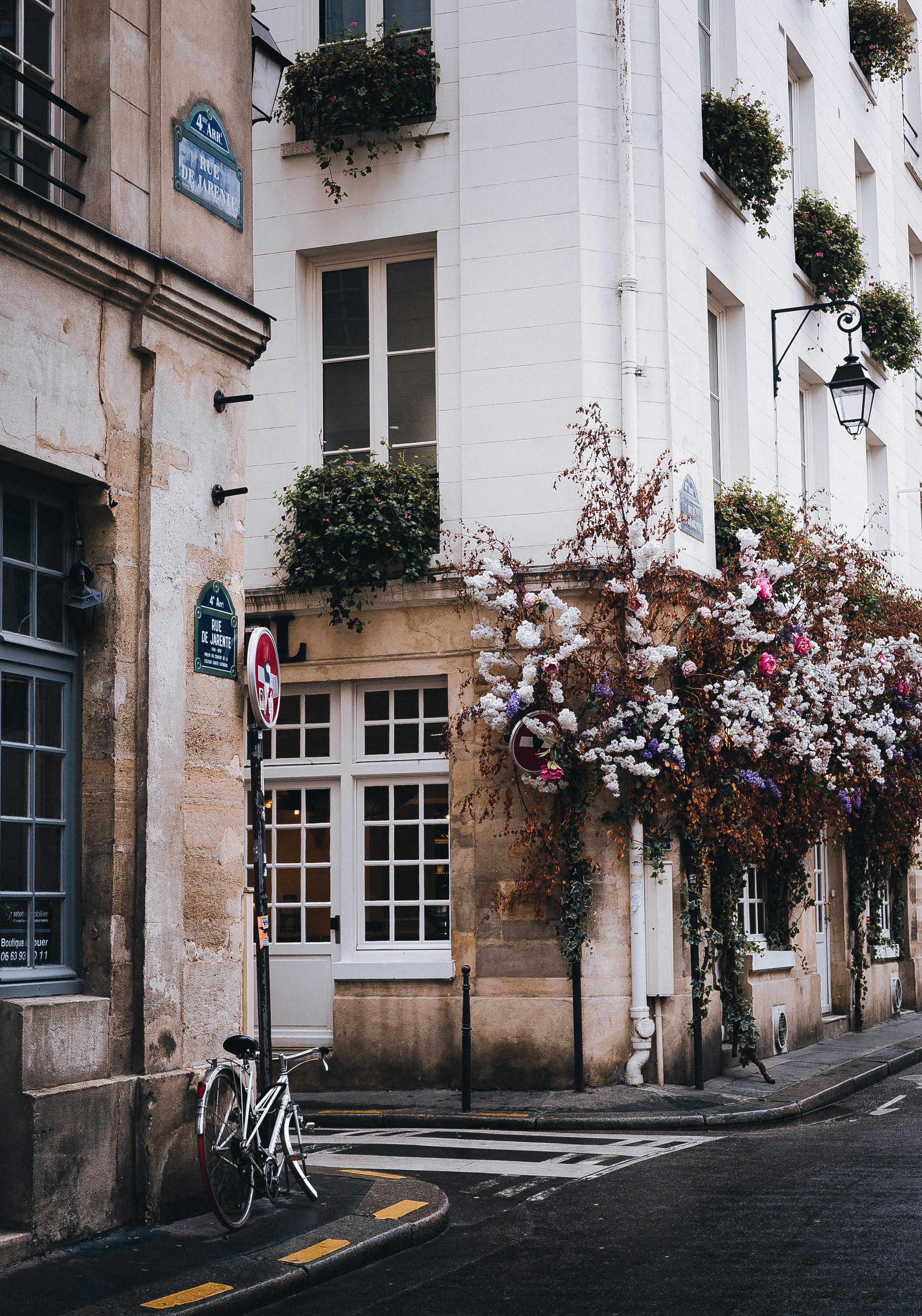 Picturesque Parisian street corner with bicycle and blooming flowers, capturing timeless elegance.