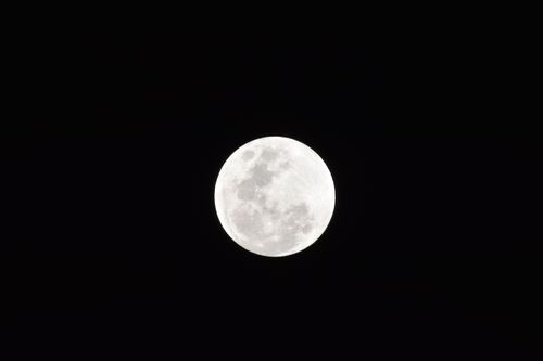 Free Capture of a full moon shining bright against a clear, dark night sky. Stock Photo