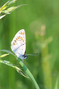 Image by Michal Petráš