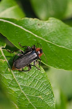 Image by Michal Petráš