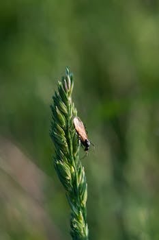 Image by Michal Petráš