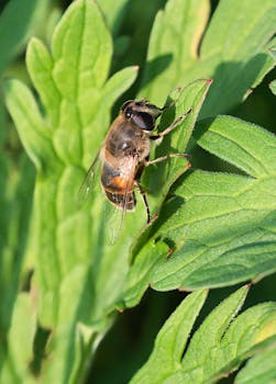 Image by Michal Petráš