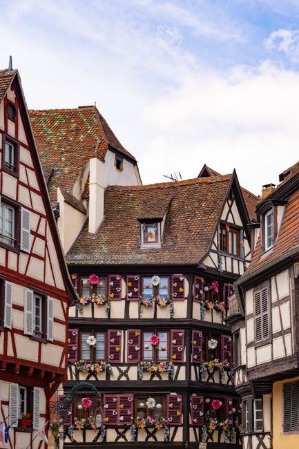 Picturesque half-timbered houses in Colmar, showcasing Alsatian architecture.