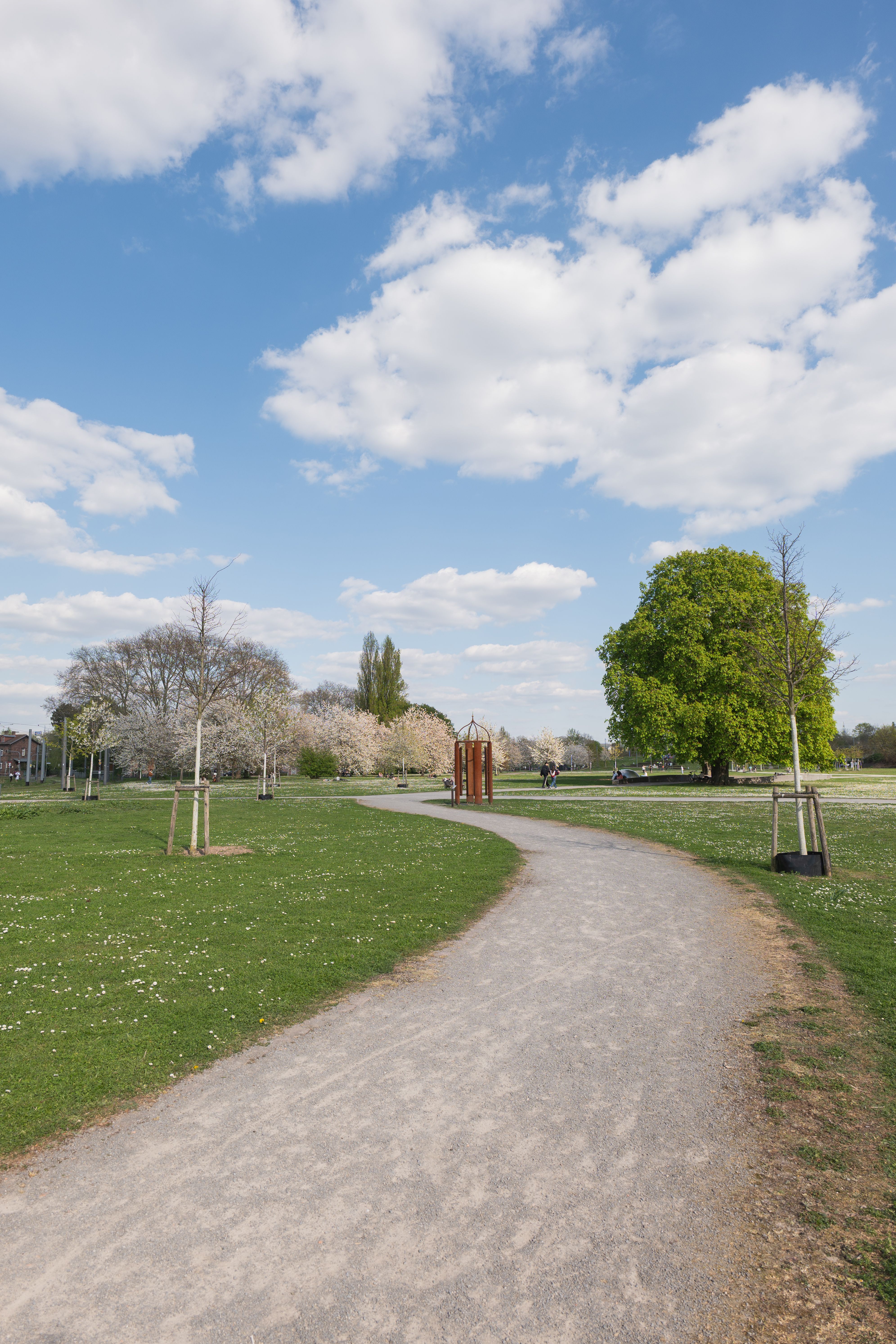 Kostnadsfria En lugn parkstig kantad av blommande träd under en klarblå himmel i Karlsruhe, Tyskland. Stock foto