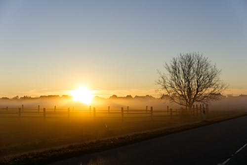 Free stock photo of autumn, fence, fog