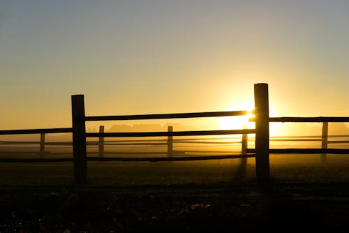 Free stock photo of autumn, fence, fog