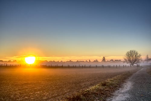 Free stock photo of autumn, fence, fog