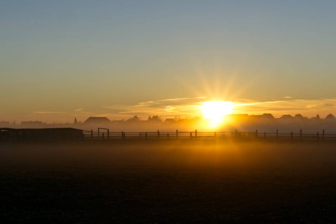 Gratis lagerfoto af efterår, fægte, hegn