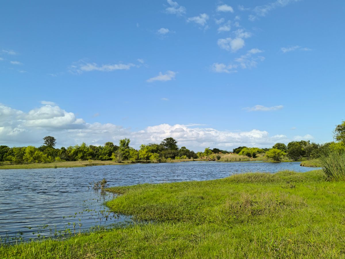 4 Day Grief Retreat: Healing After Loss in New Orleans 3