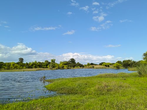 Free Peaceful river scene with lush greenery and clear blue sky, perfect for nature lovers. Stock Photo