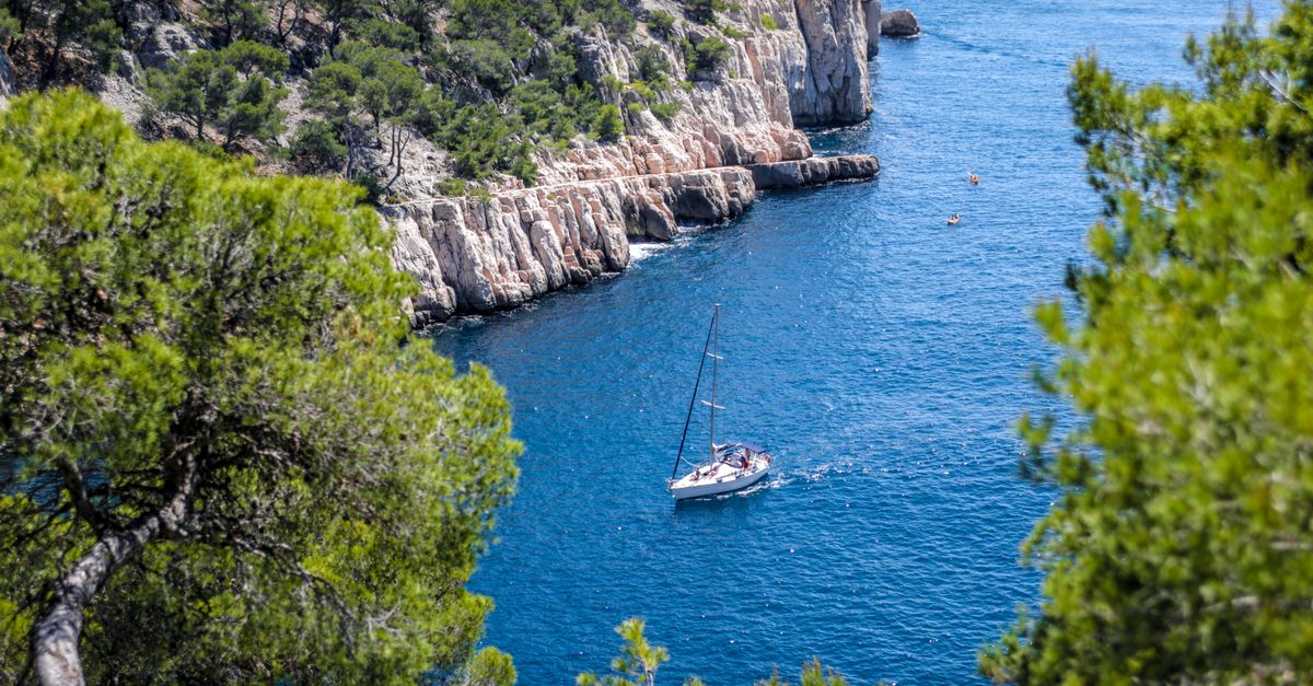 Guide Pratique: S'Initier à la Plongée Sous-Marine dans les Calanques