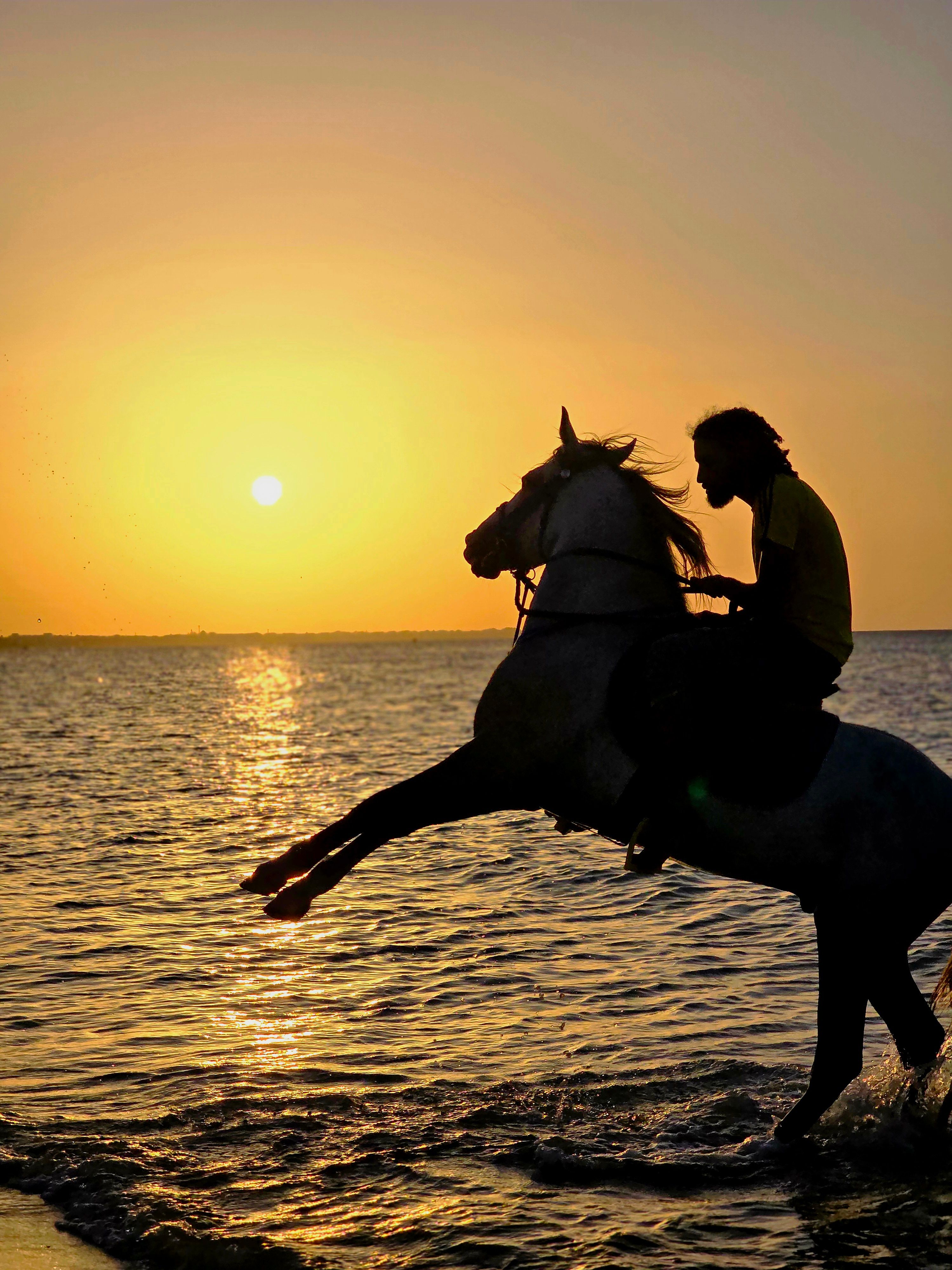 Woman Riding a Horse Along the Beach · Free Stock Photo