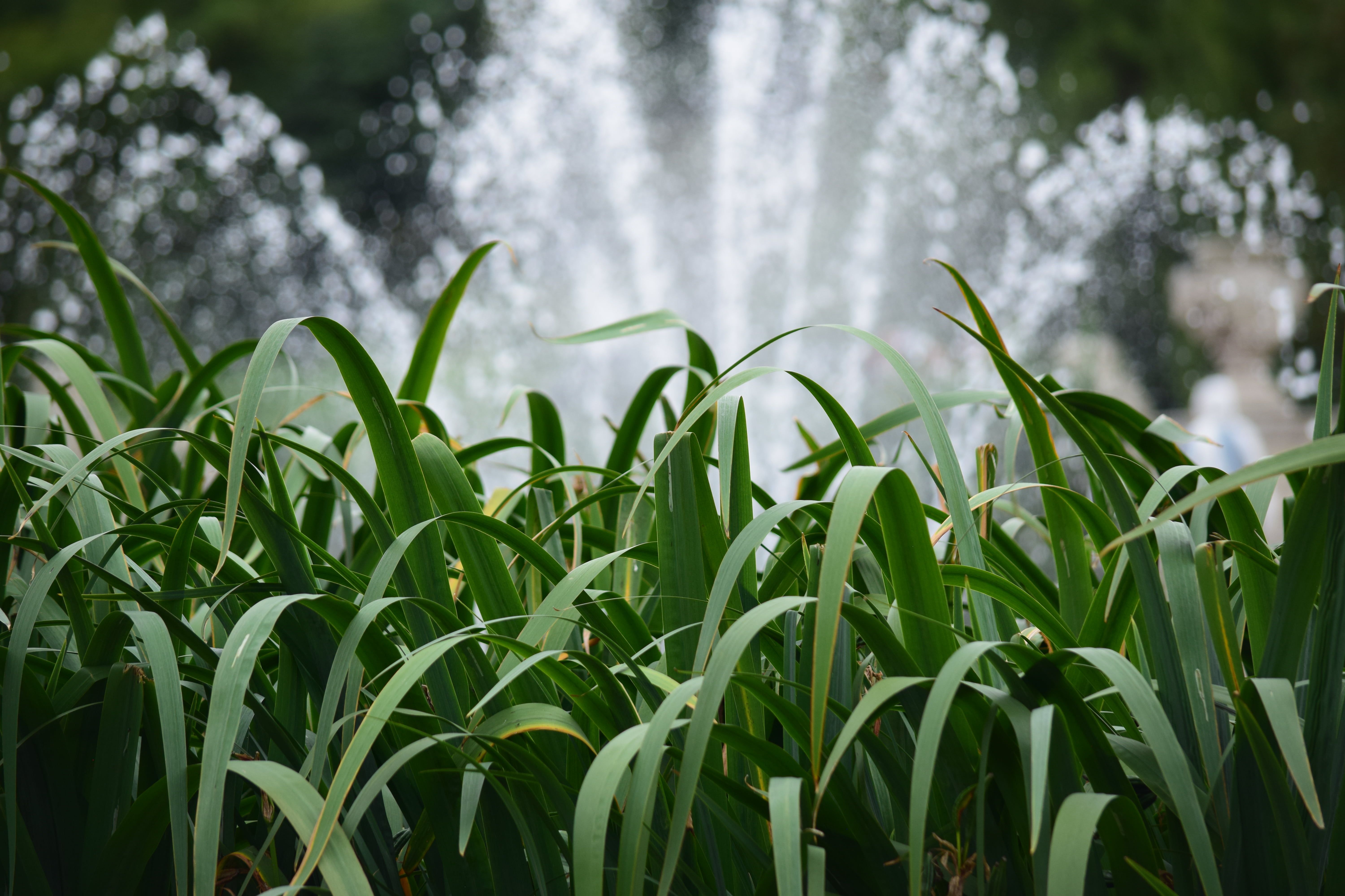 Calming Photos, Download The BEST Free Calming Stock Photos & HD Images