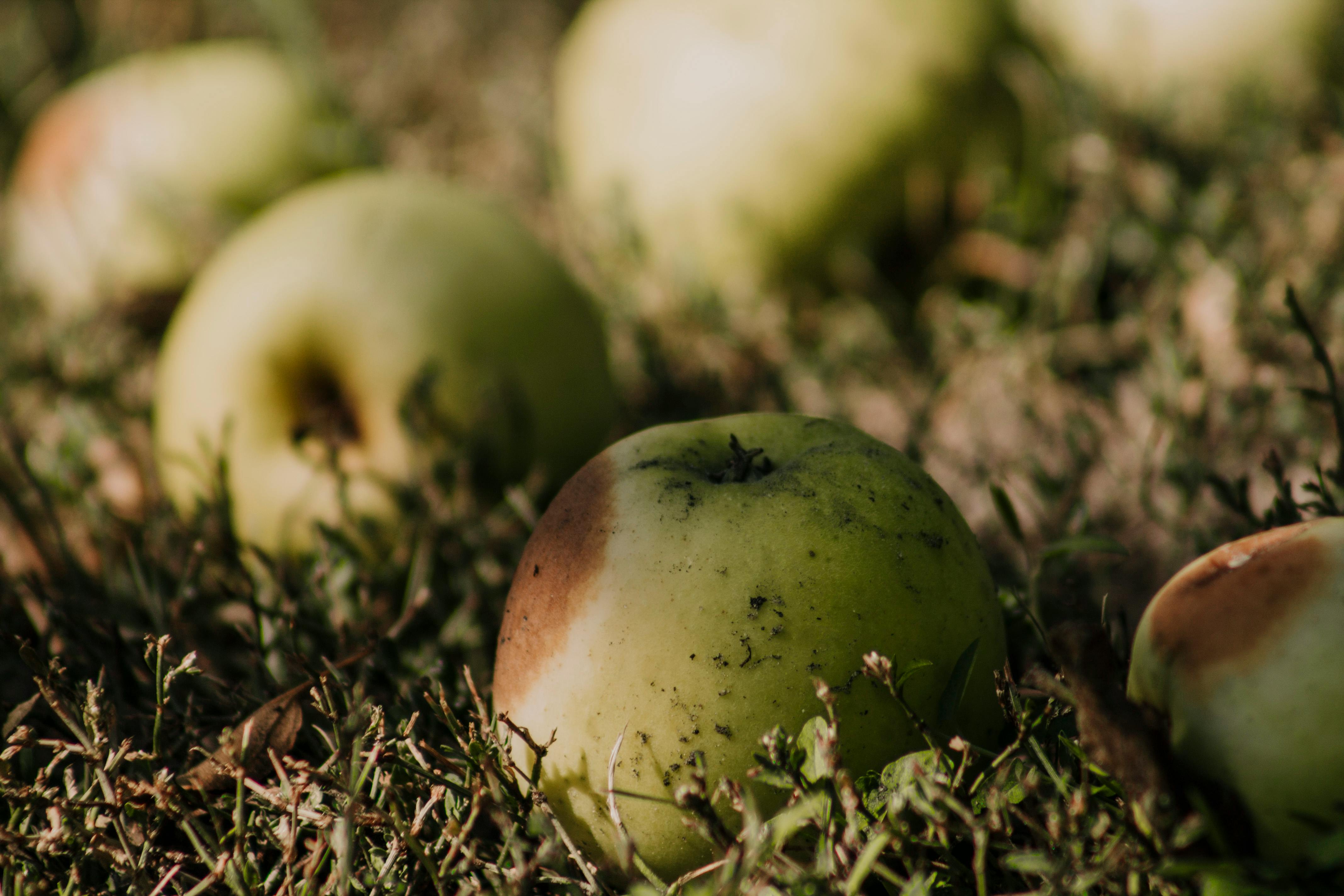 Apple earnings, March PCE, Q1 GDP, mortgage rates: What to Watch — Photo by Зоряна Русин on Pexels