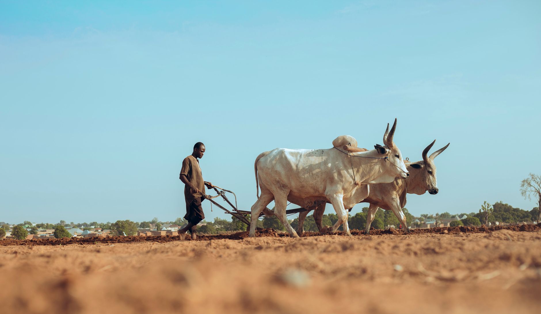Ouvrier en unité agro-industrielle