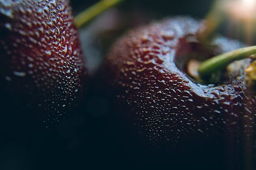 бесплатная Бесплатное стоковое фото с вишни, выращивать, дождь Стоковое фото
