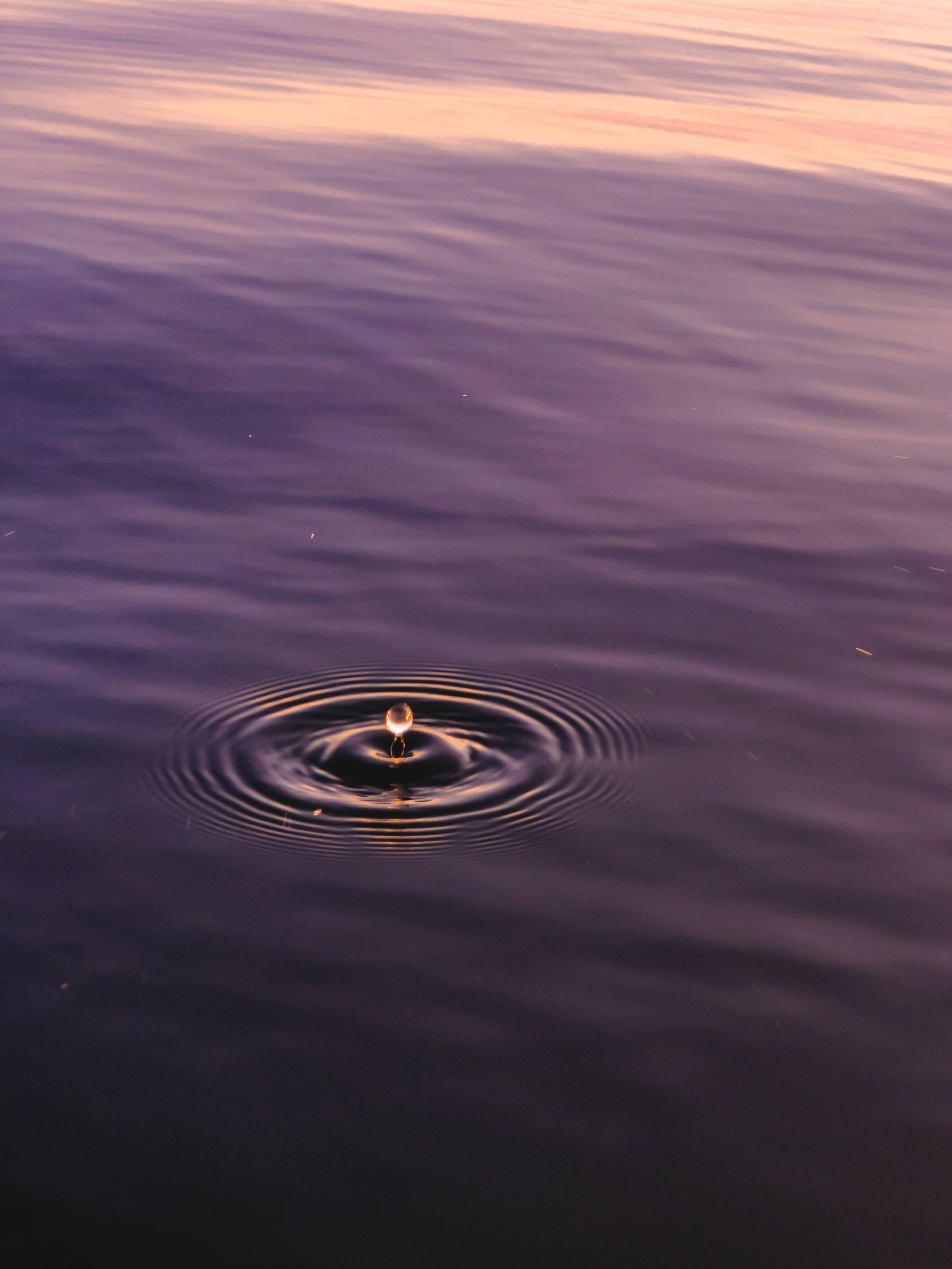 Serene Water Ripple at Sunset · Free Stock Photo