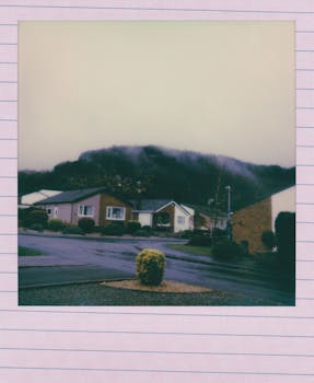 在雾雨朦胧的天气里，宝丽来照片中的郊区平房展现出复古美学