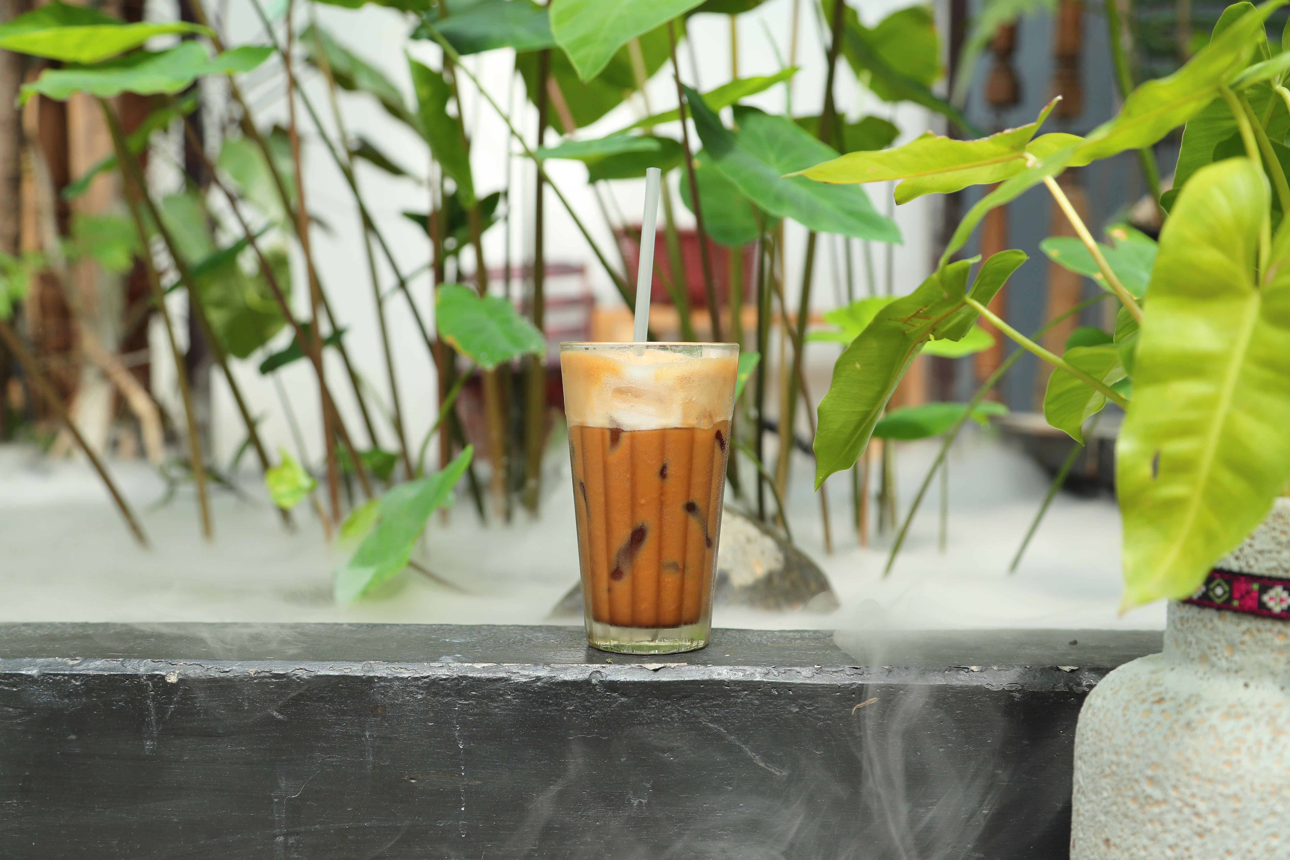 refreshing iced coffee amidst lush greenery