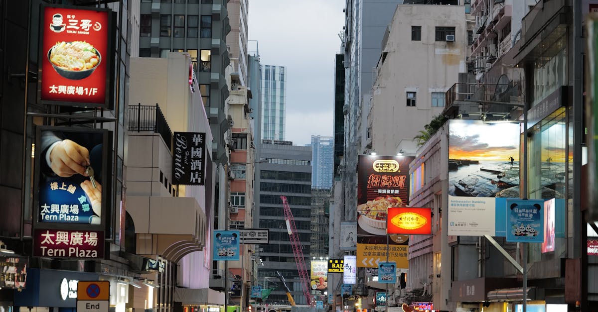 股息領航 這三隻加拿大被動收入股票適合所有的投資組合