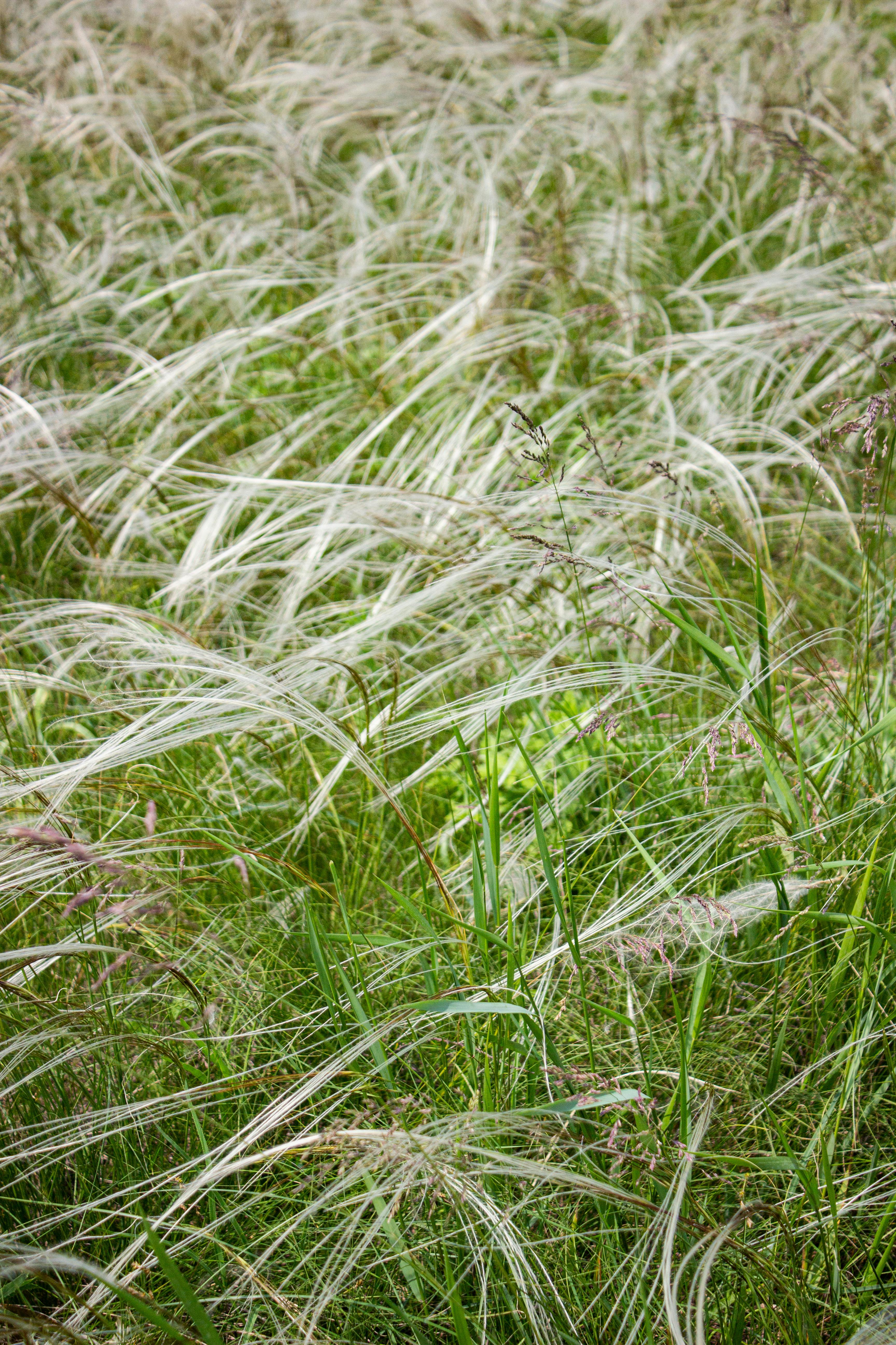 Skyblue Background Photos, Download The BEST