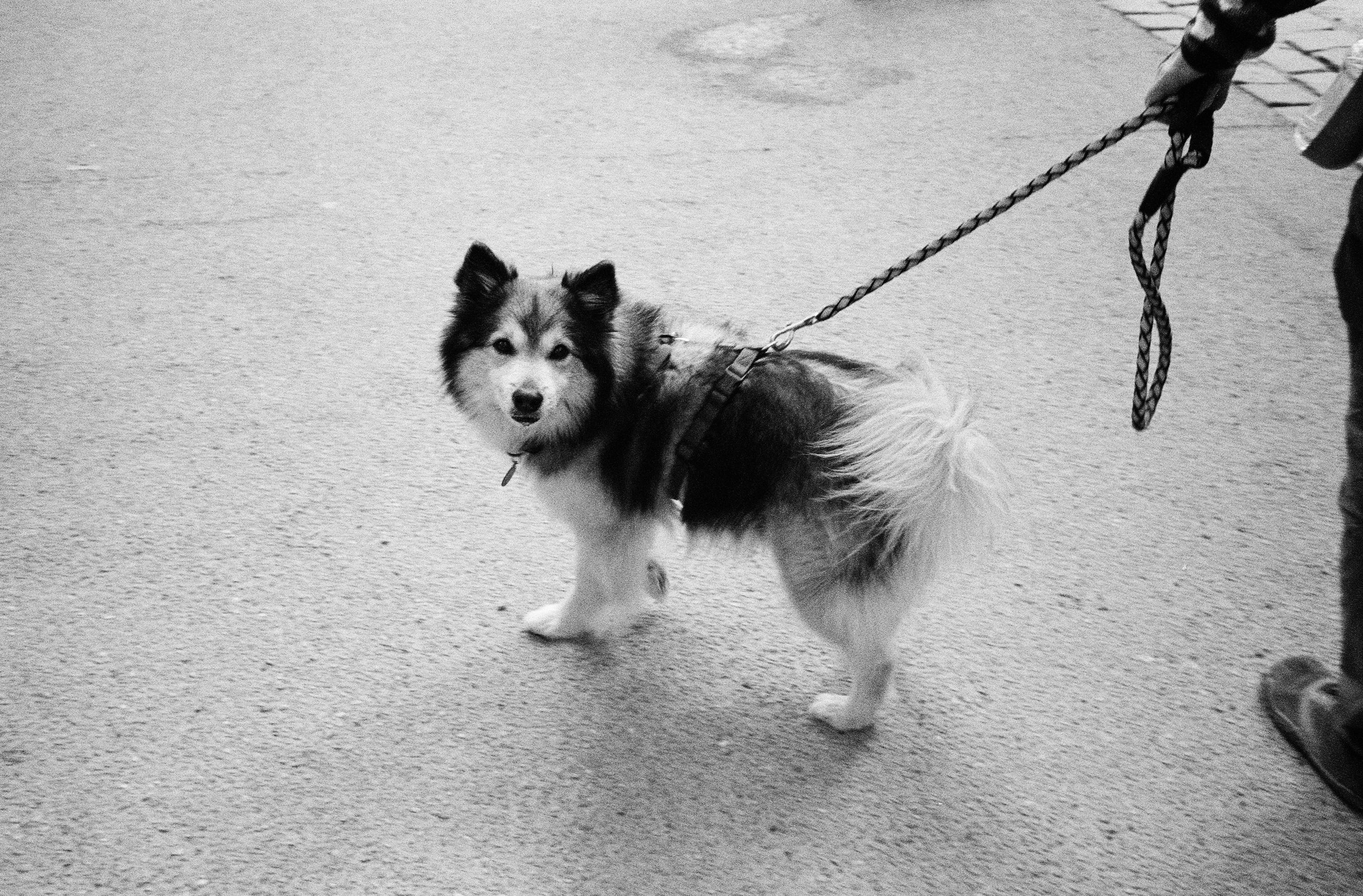 C&A Kleider Neue Kollektion: Entdecke Die Trendigsten Styles! 4 C&A Kleider für Jeden Anlass: Die 5 besten Styles für Deine Garderobe