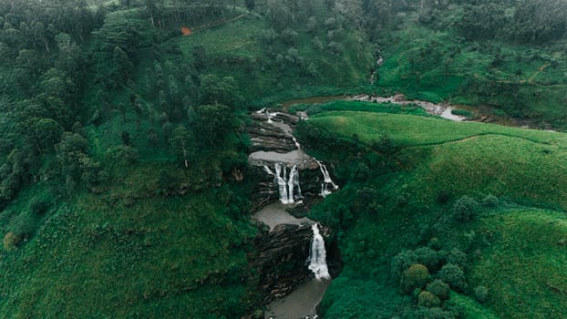 Explore the lush greenery and cascading waterfall in Sri Lanka from an aerial perspective.
