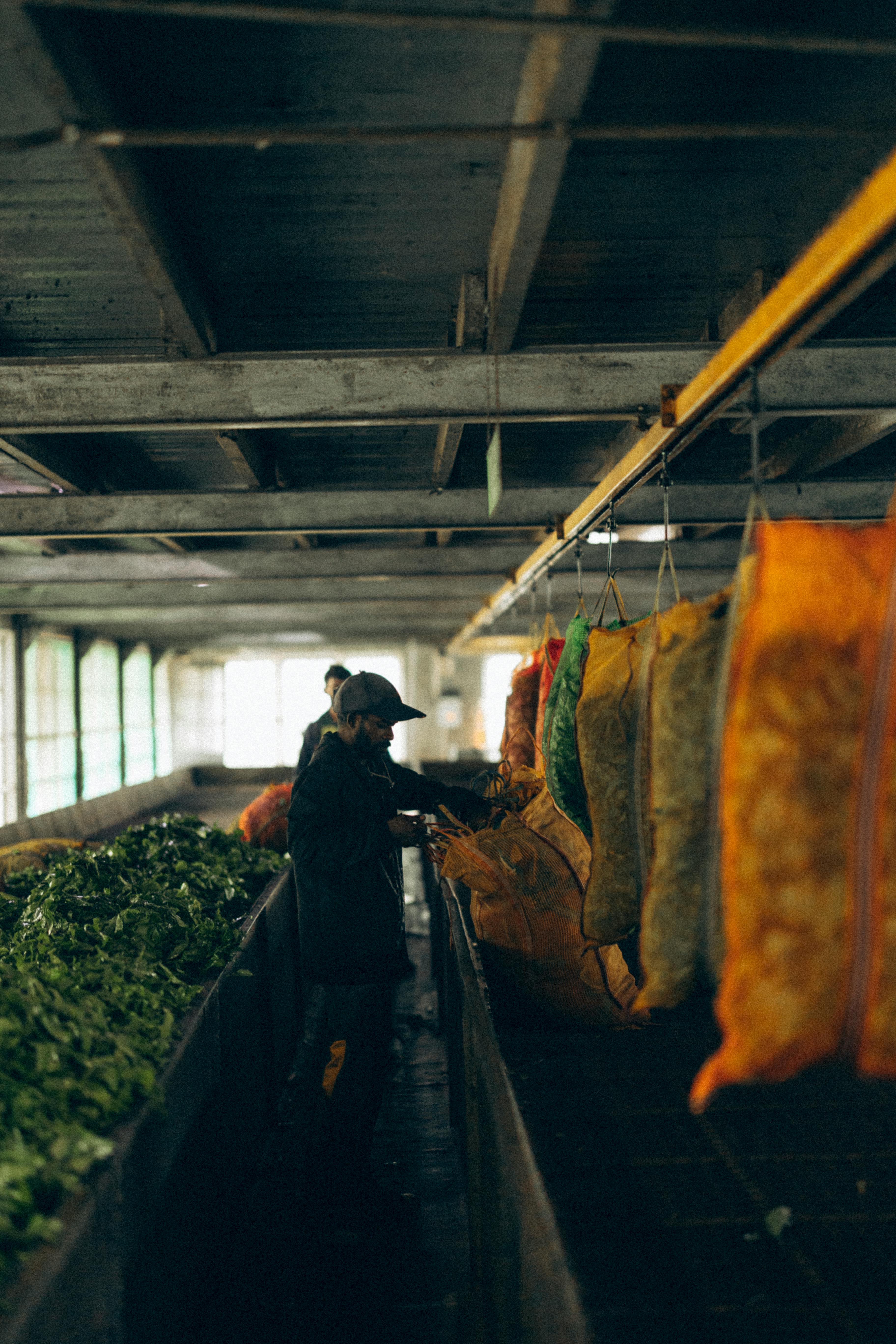 Nine Arches Bridge Ella