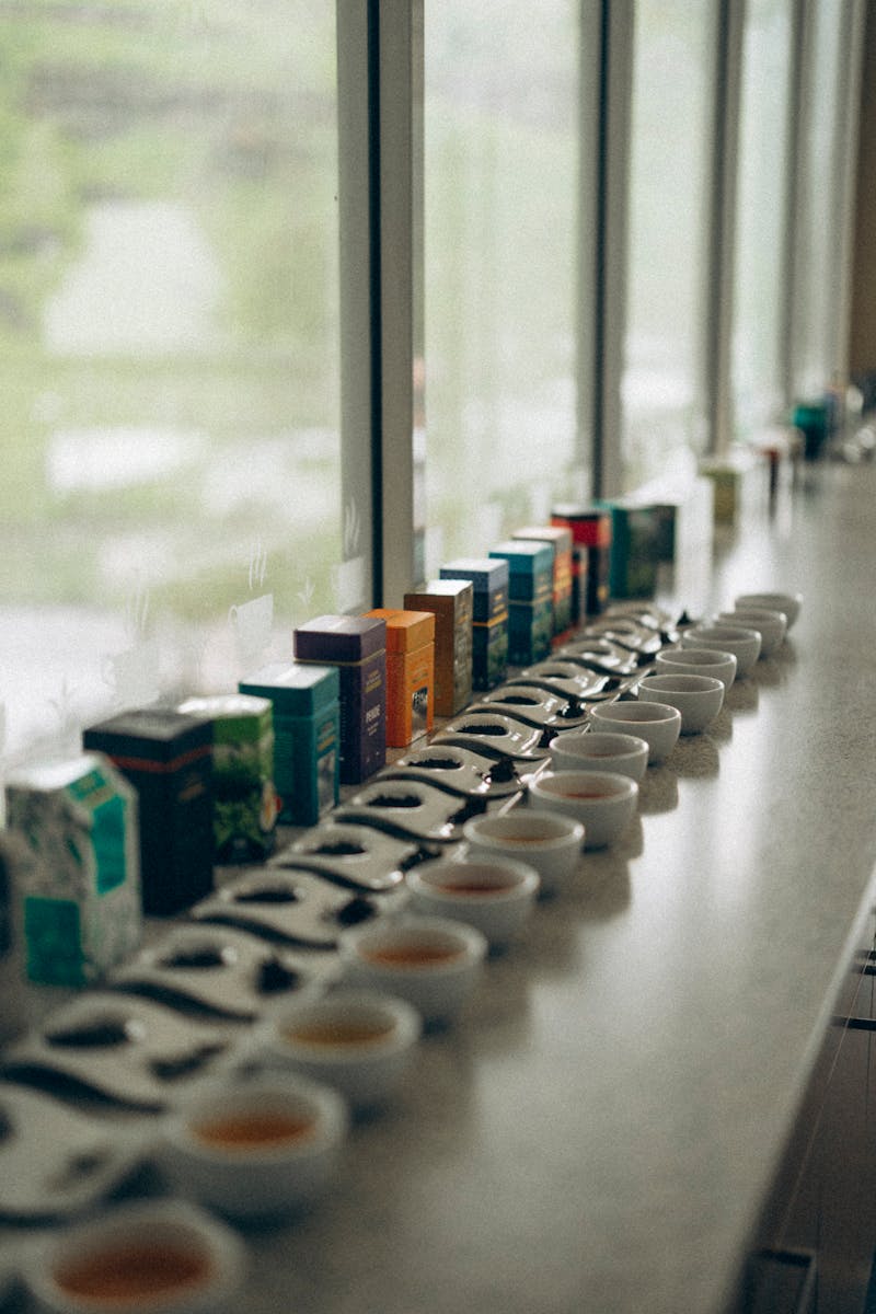 Sri Lanka Tea Plantation Photos, Download