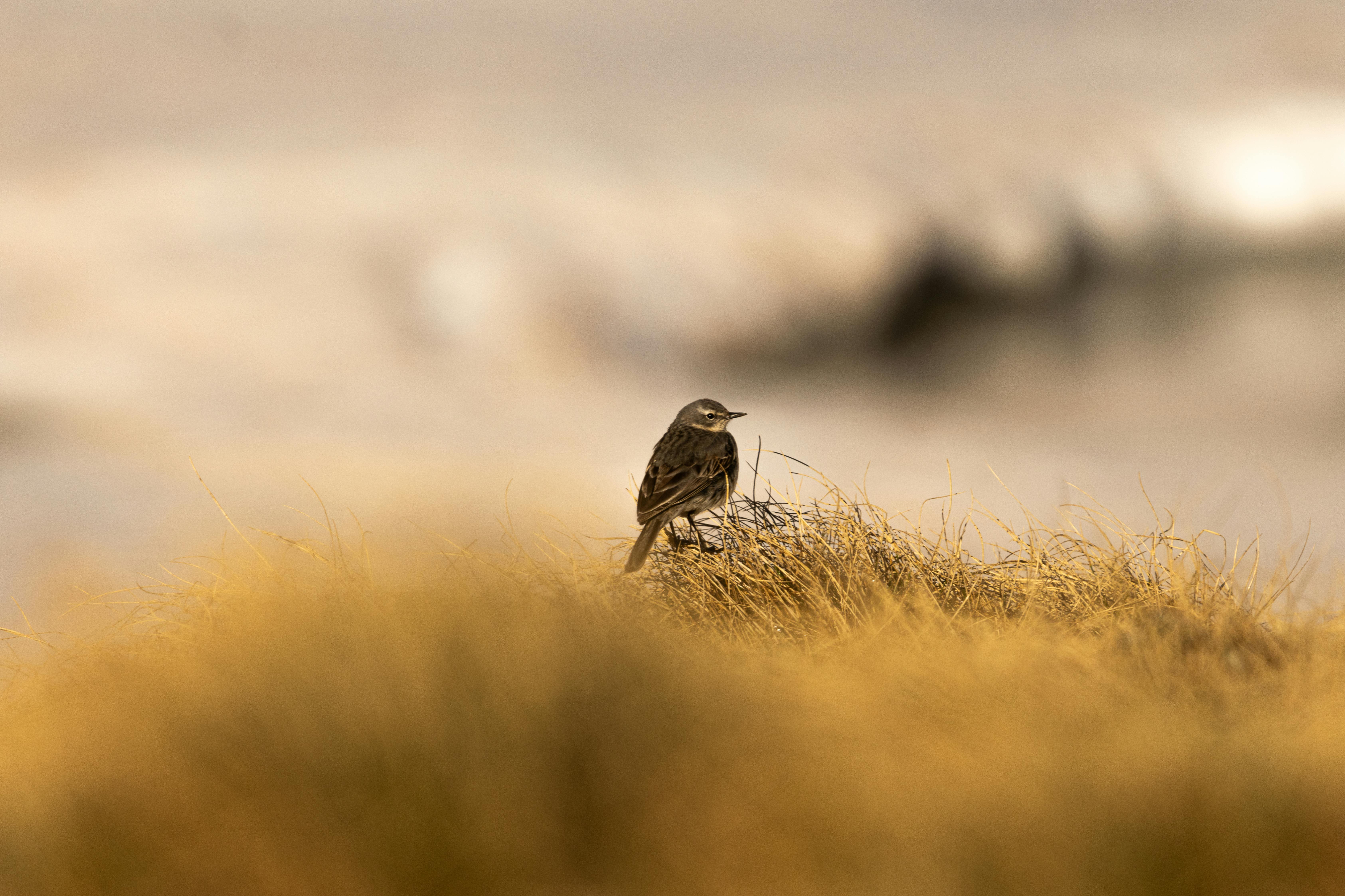 Gaining Clarity and Focus Through Solitude