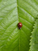 Sei liebevoll: Zuneigung schenken