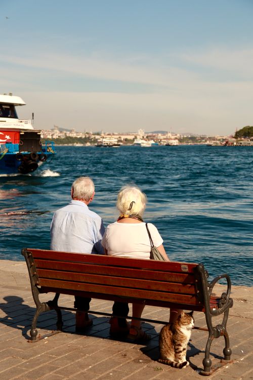 Free An elderly couple sits by the Bosphorus Strait, enjoying a peaceful afternoon with a cat nearby. Stock Photo