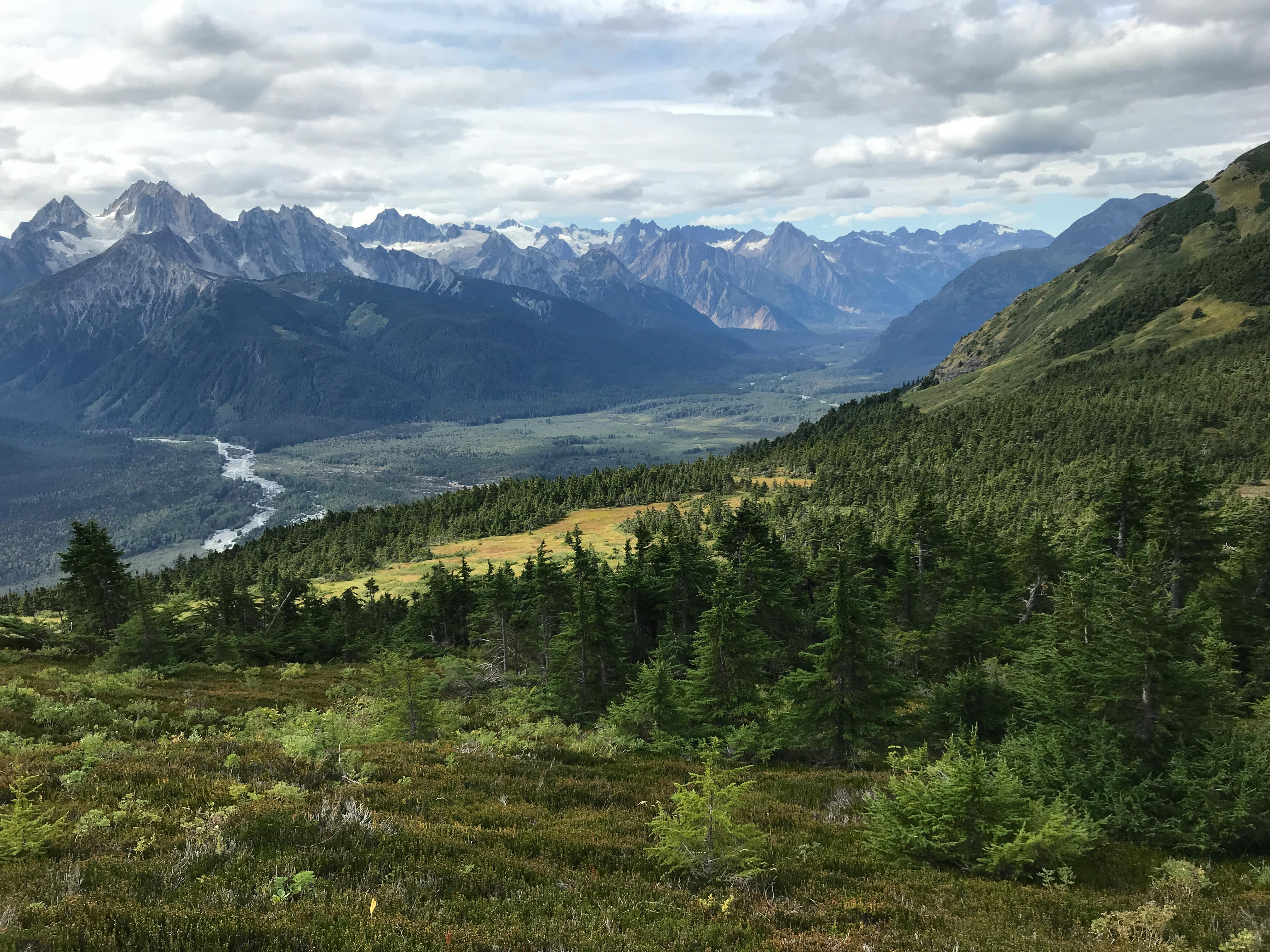 Stunning view of lush forests and mountain peaks in Haines, Alaska, under a cloudy sky.