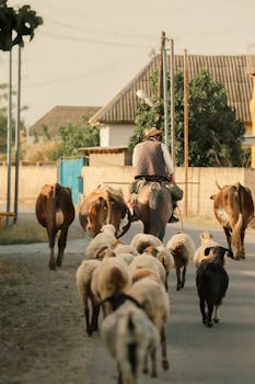 Madhya Pradesh Police successfully stops cow smuggling, rescuing 28 cattle.  A major victory against illegal cattle trade.
