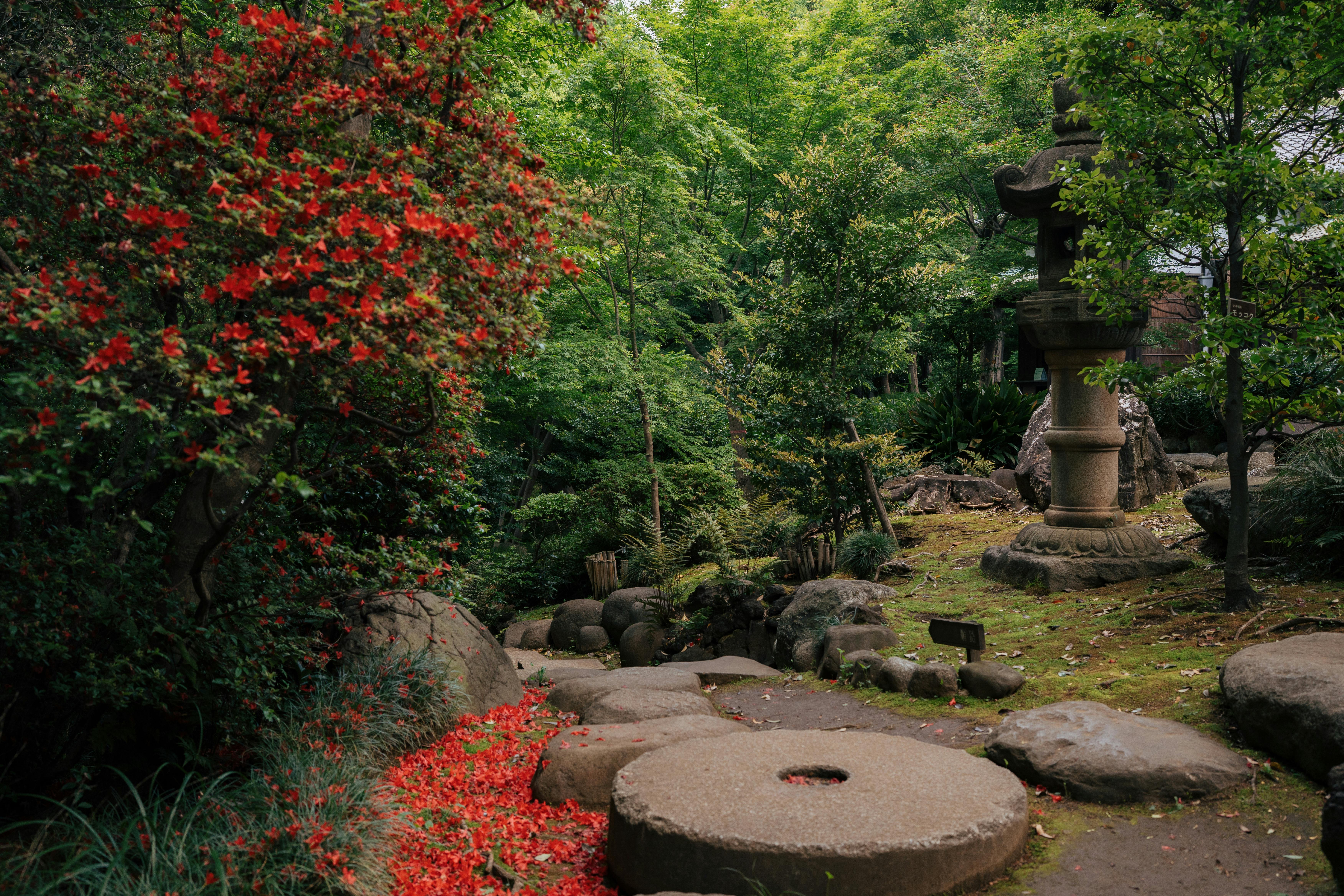 Understanding Sudden Changes in Appearance