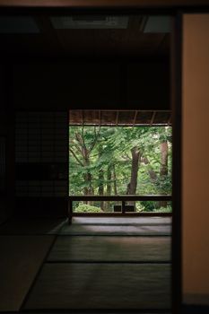 View from a traditional Japanese room showcasing a lush green forest, capturing serenity and natural beauty.