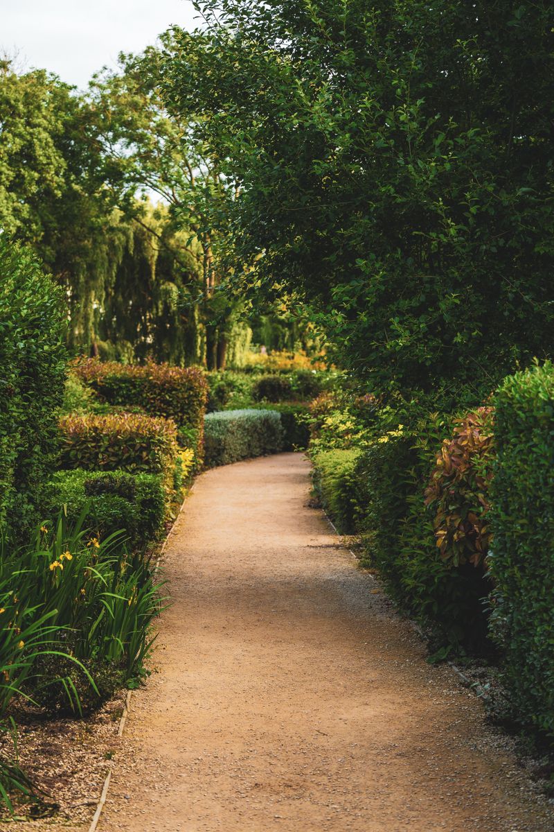 Serene garden pathway with lush greenery in Constantia