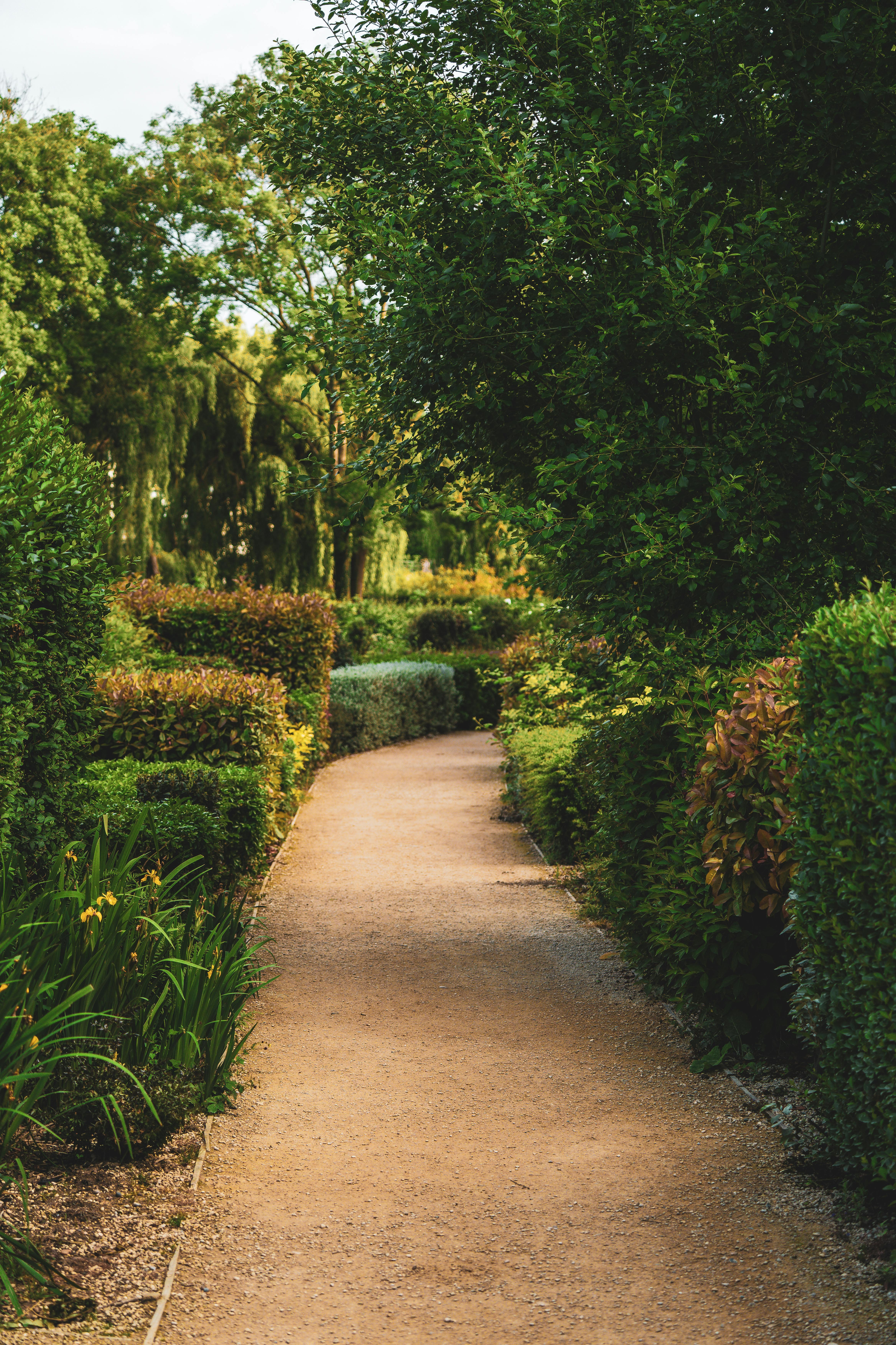 Peaceful Garden Path with Lush Greenery · Free Stock Photo, image size:500x750
