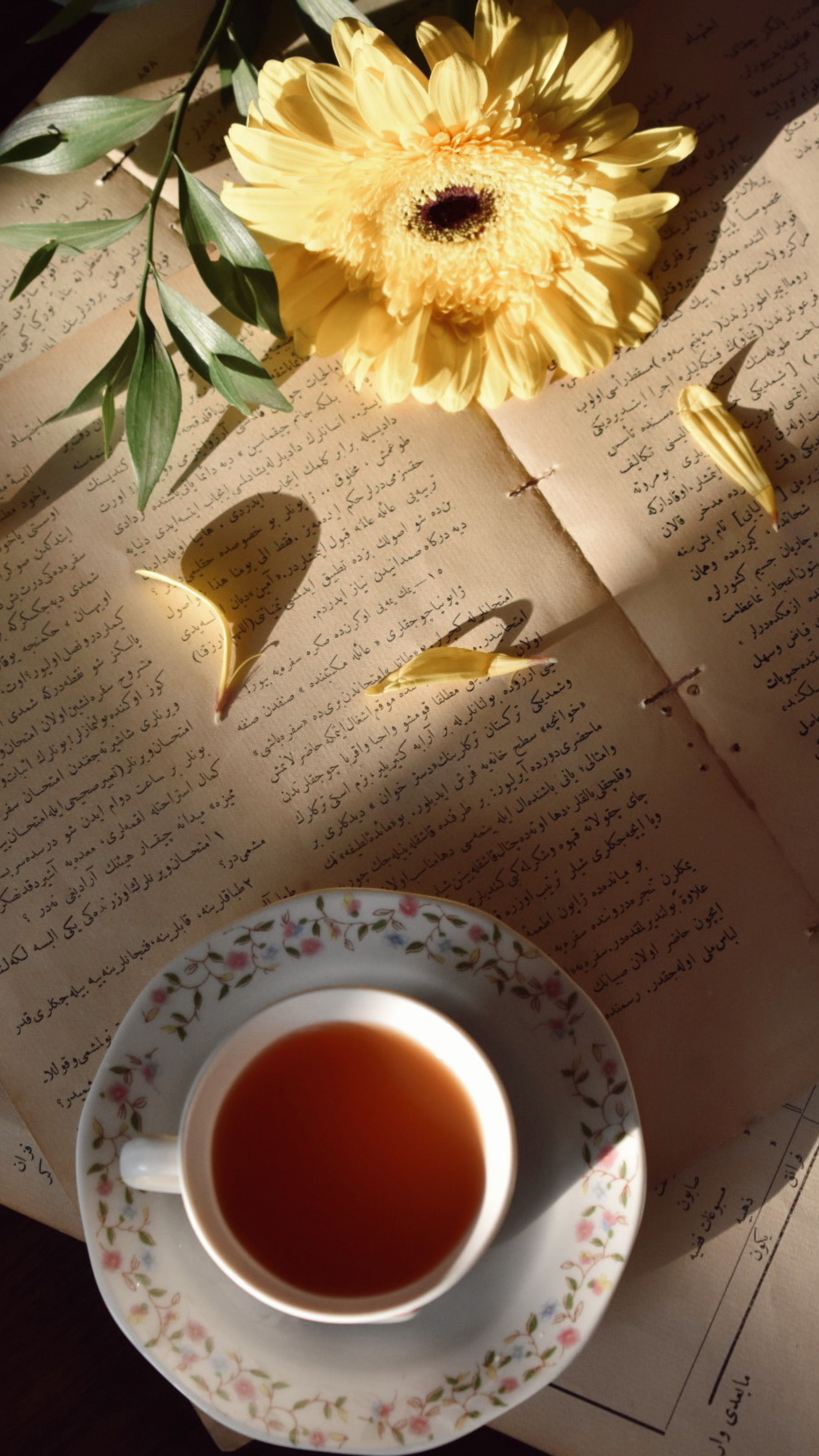 seasonal self-care: a relaxed intro for beginners