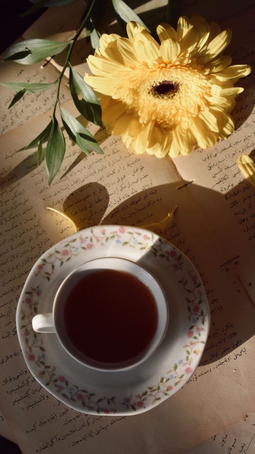 Free A refined cup of tea on floral plate beside a vibrant yellow flower on script. Stock Photo